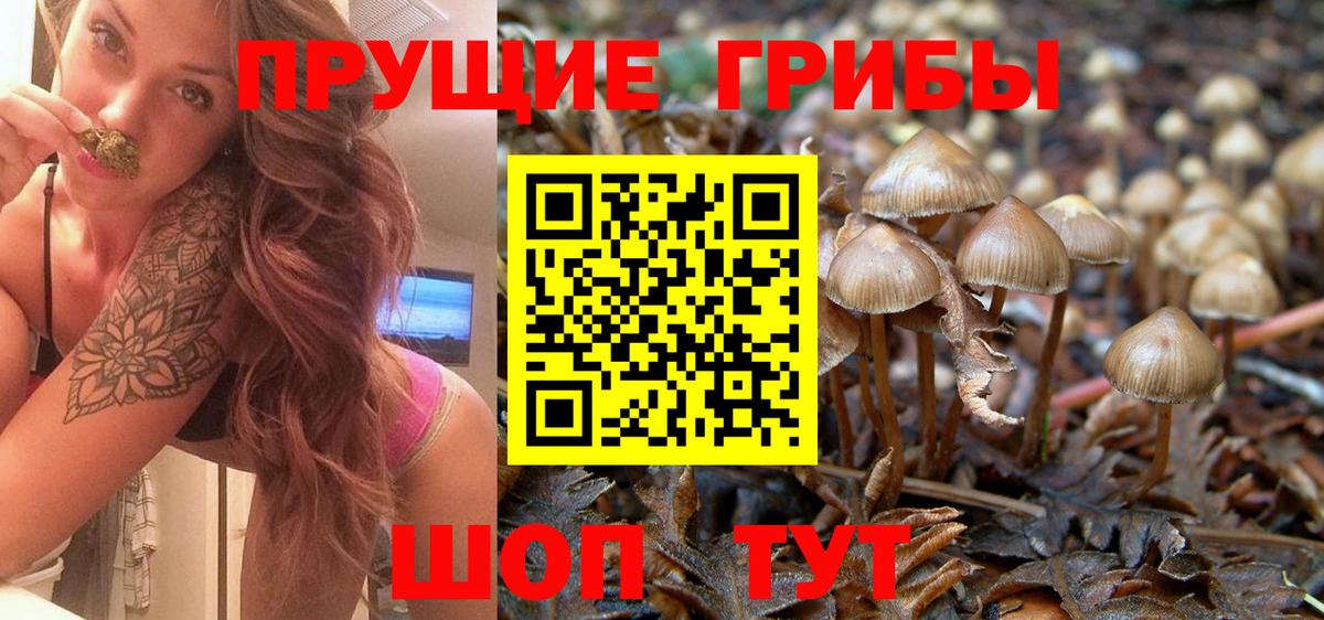 Псилоцибиновые грибы мухоморы Балахна