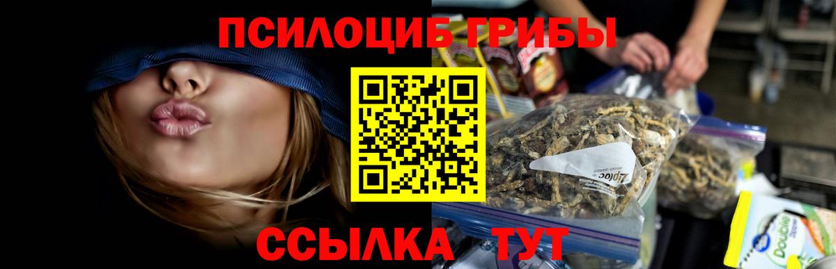 Балахна  Галлюциногенные грибы мухоморы  даркнет сайт  Вход с VPN 
